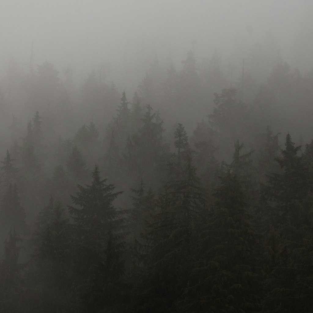 Forest by David Dephy, Poetry, Exophony, Georgia