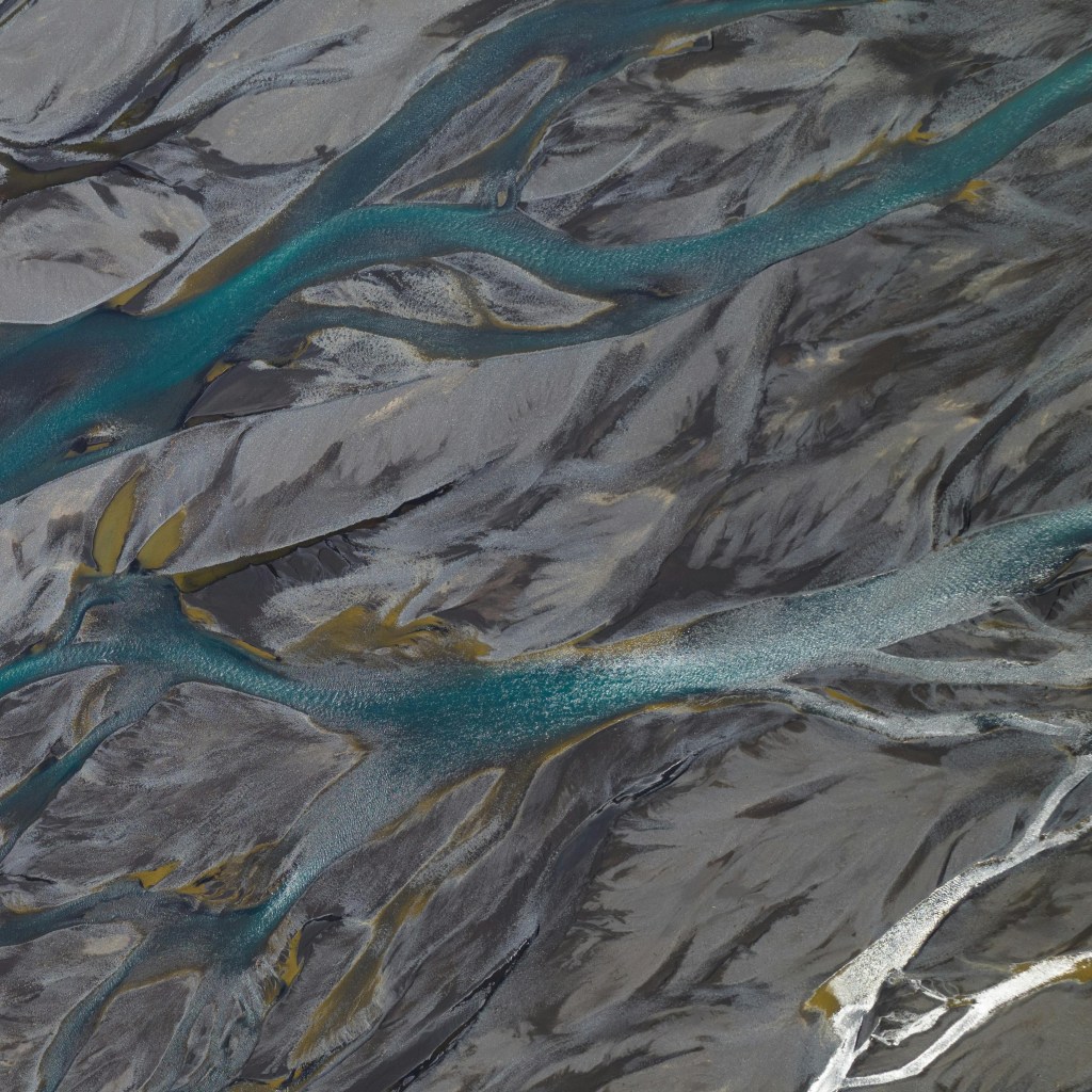 MY LOSS IS MY ROOT by Téa&nbsp;Nicolae