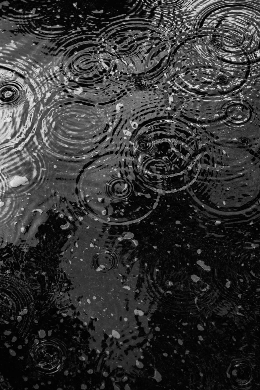 THEN, AGAIN, ON A RAINY DAY by Miodrag&nbsp;Kojadinović