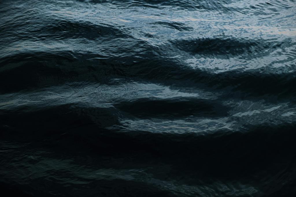 A RIGID FRONTIER by Akshaya Pawaskar, Exophny, Audio Poem